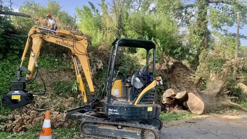 Abattage et dessouchage à la pelle mécanique en bord de route